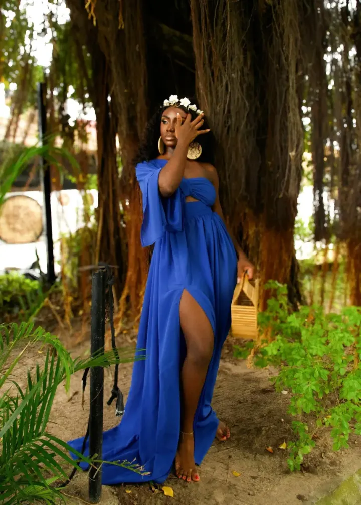 Claire Gown