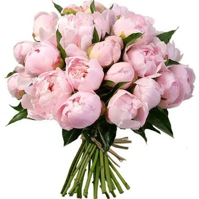 FAUX FLOWERS