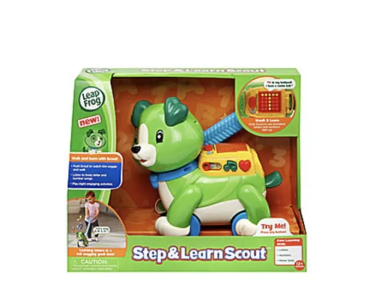 leapfrog step&learnScout