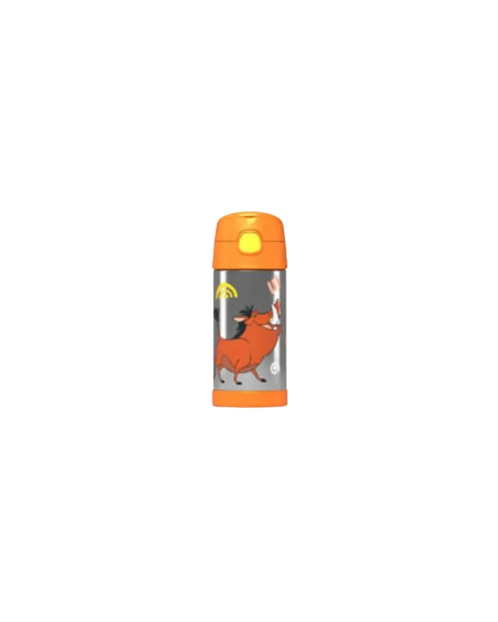 Character Thermos flash water bottle 12hrs
