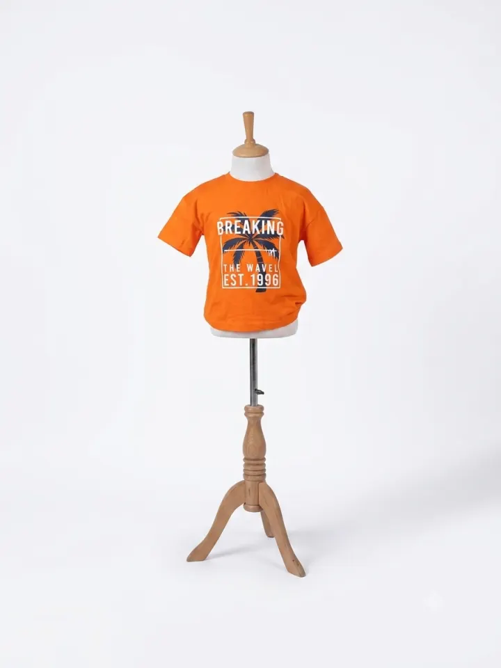 Wanex Tshirt Gre/Ora/Blu B2-7yrs